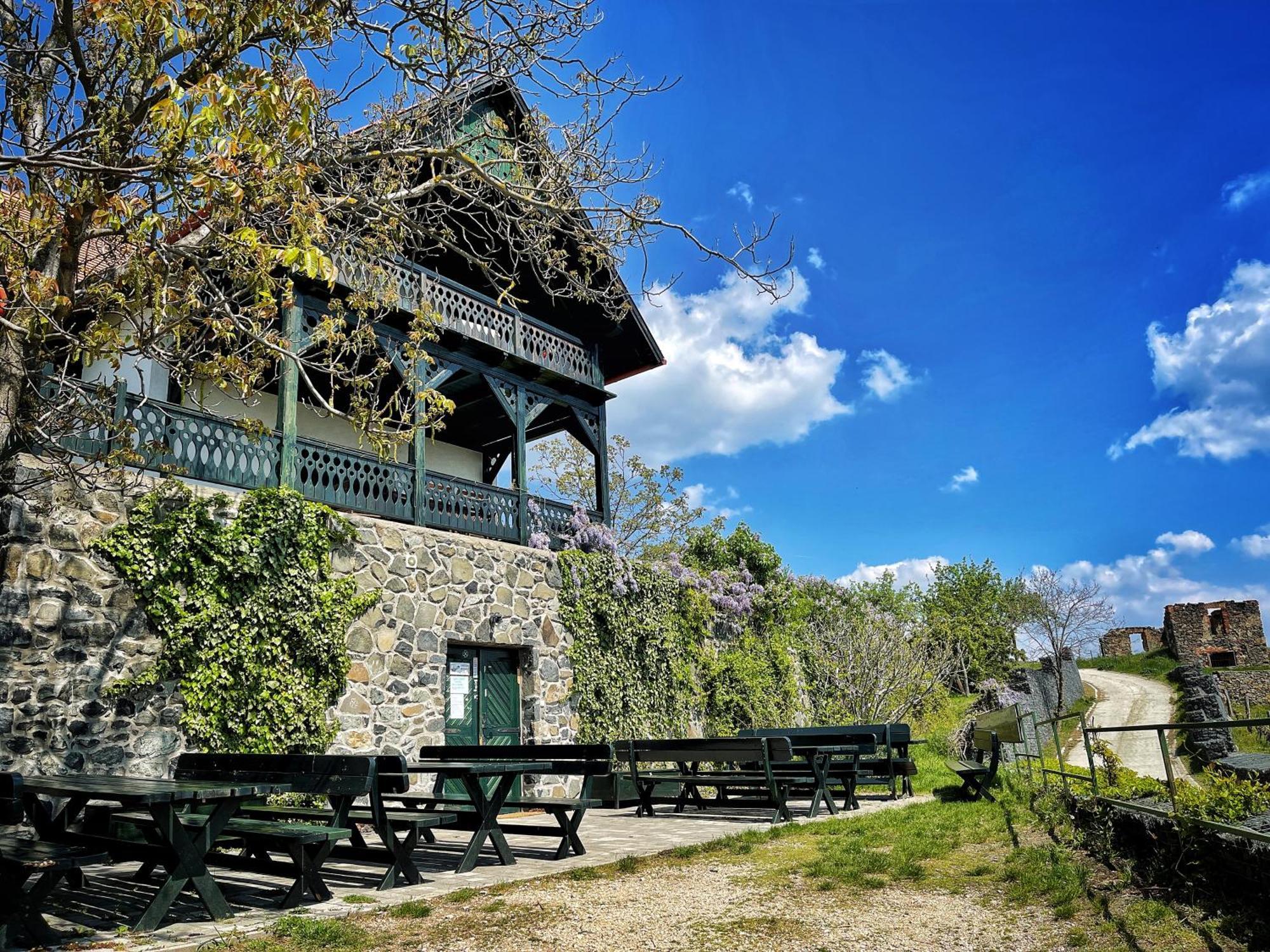 Somlo Wineshop Guesthouse Somlovasarhely Dış mekan fotoğraf