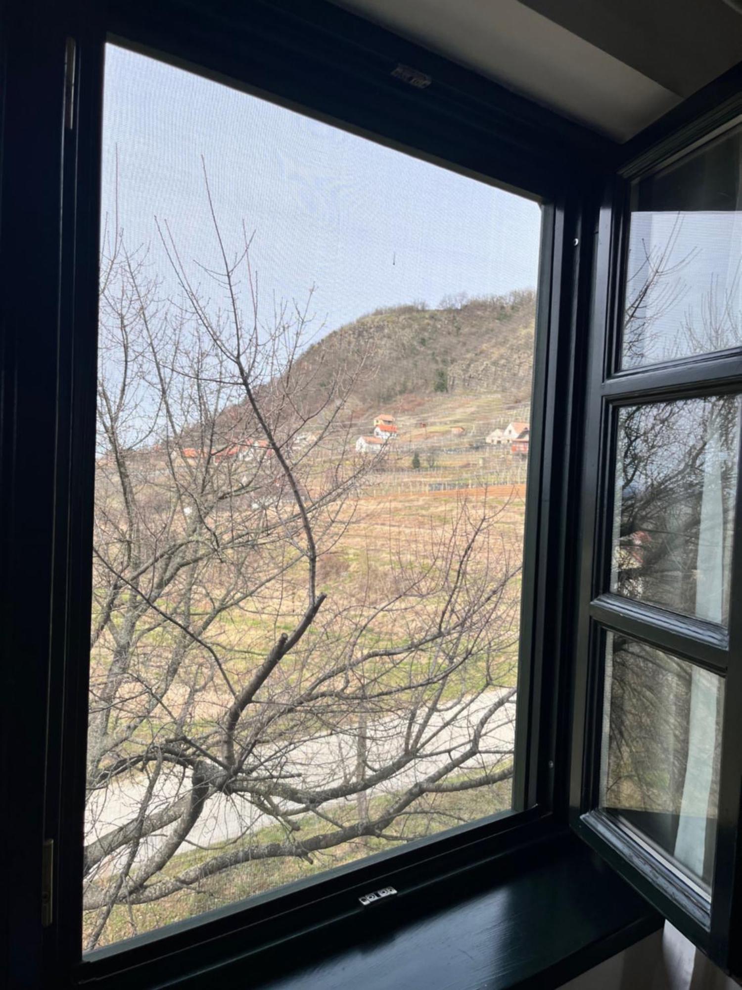 Somlo Wineshop Guesthouse Somlovasarhely Dış mekan fotoğraf