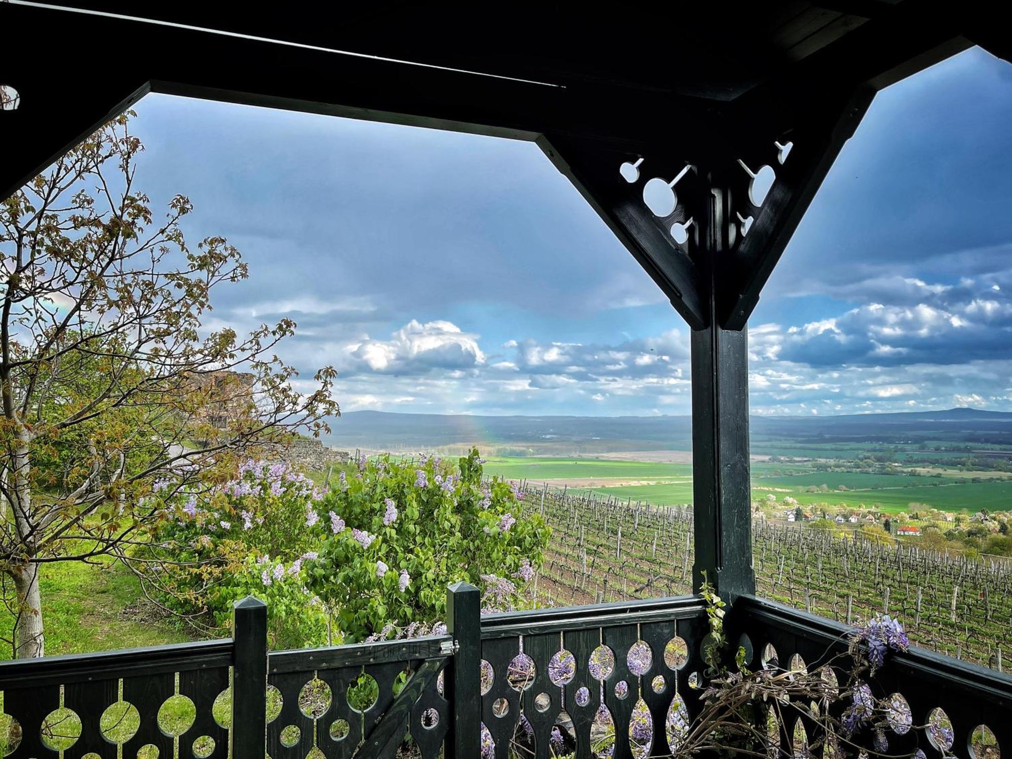 Somlo Wineshop Guesthouse Somlovasarhely Dış mekan fotoğraf