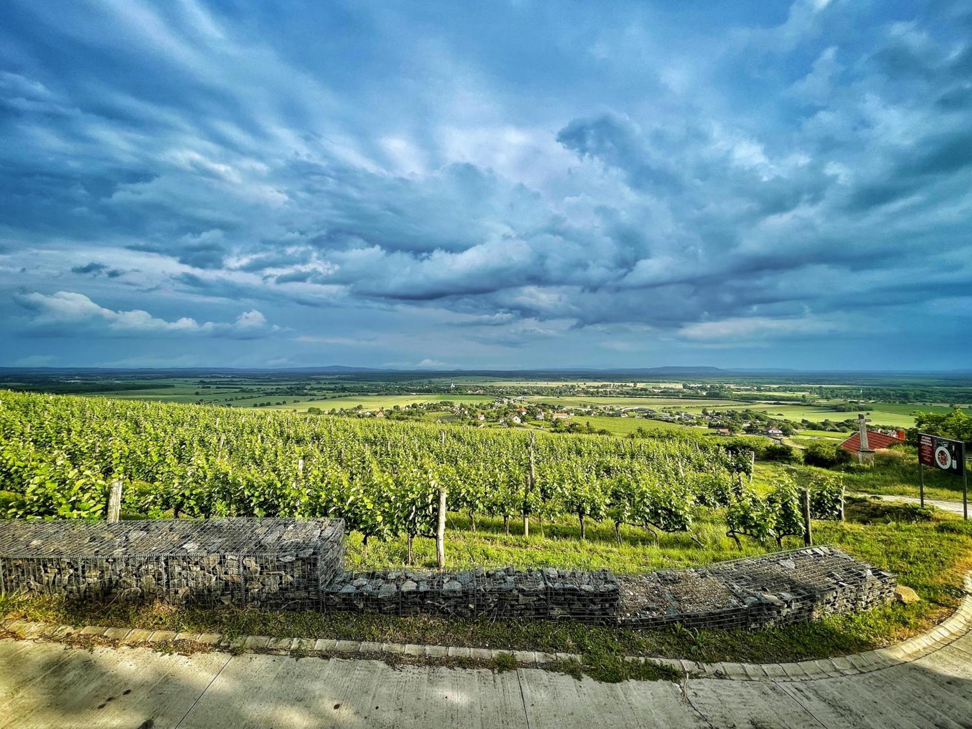 Somlo Wineshop Guesthouse Somlovasarhely Dış mekan fotoğraf