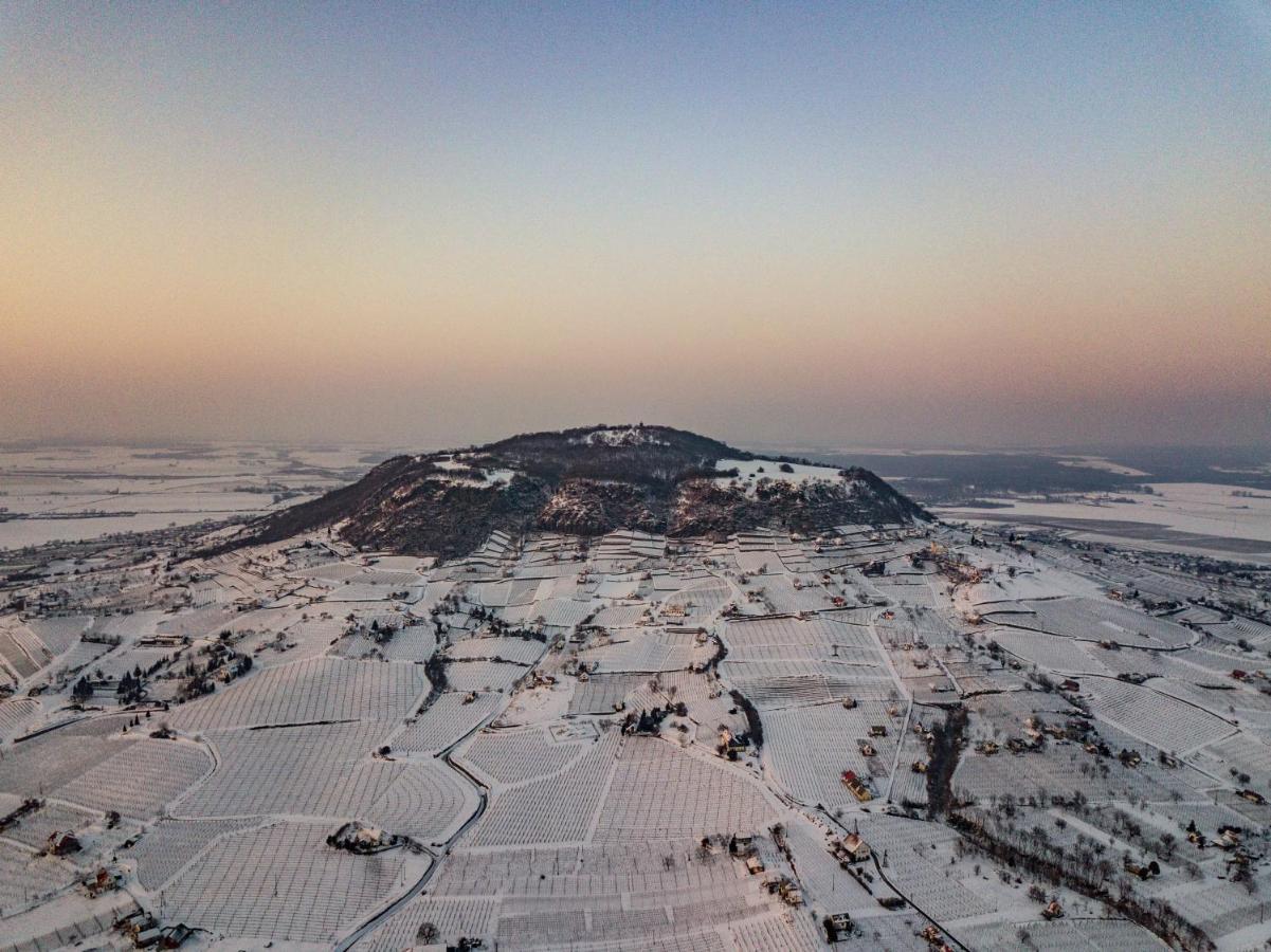 Somlo Wineshop Guesthouse Somlovasarhely Dış mekan fotoğraf