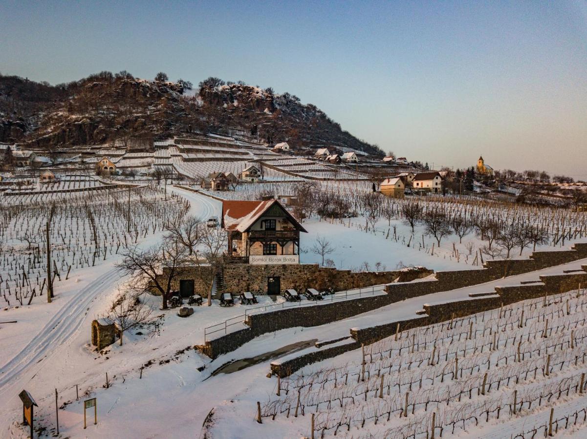 Somlo Wineshop Guesthouse Somlovasarhely Dış mekan fotoğraf
